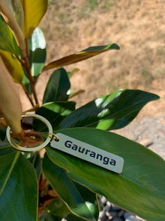 Golden Gauranga Keychain