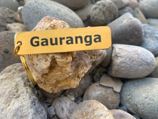 Golden Gauranga Keychain