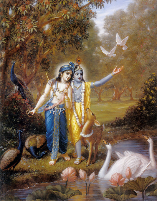 Krishna and Balaram Puzzle
