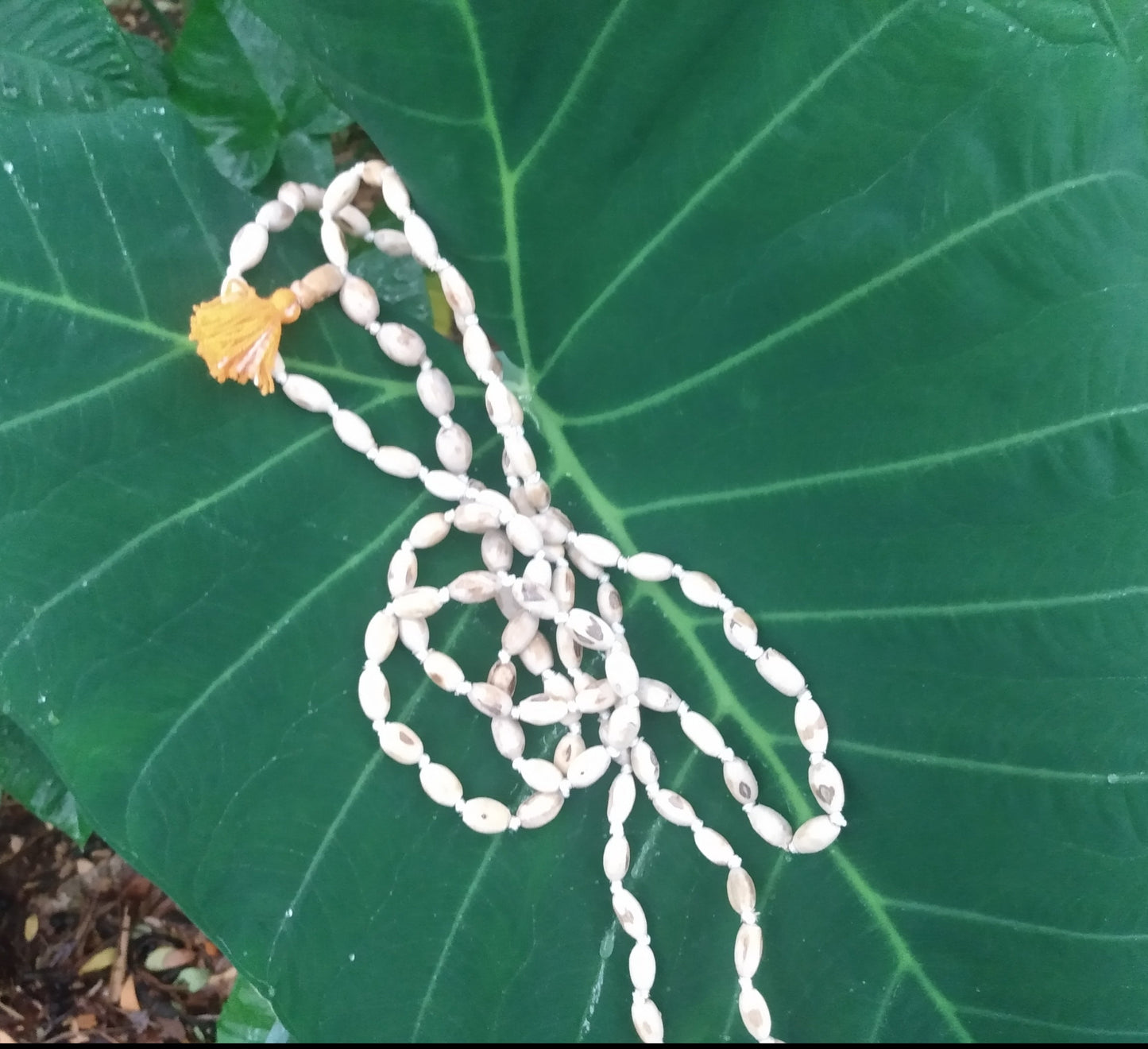 Large Polished Mridanga shaped Tulsi Japa Beads