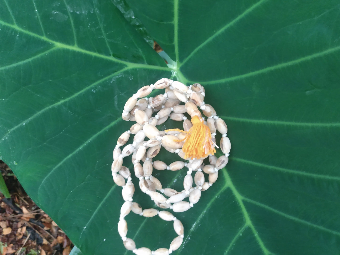 Large Polished Mridanga shaped Tulsi Japa Beads